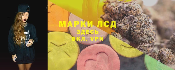 индика Куйбышев