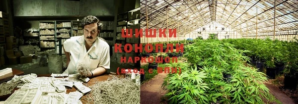гидра Кулебаки