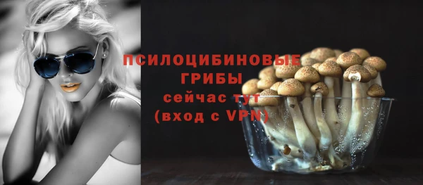 индика Куйбышев