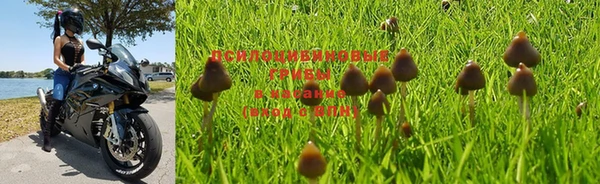 индика Куйбышев