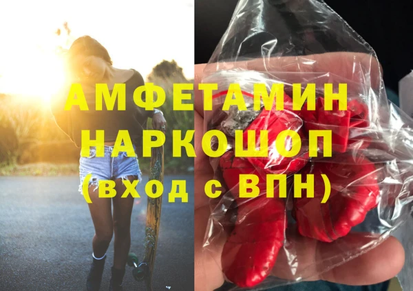 крисы Новодвинск