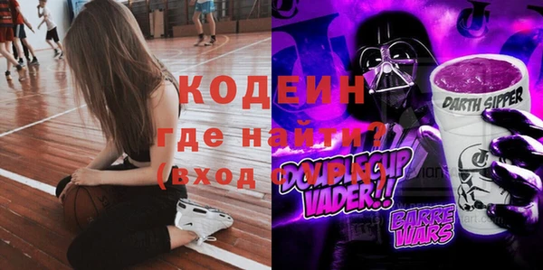 индика Куйбышев