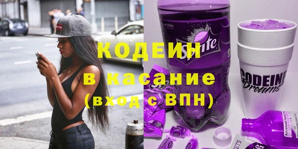 гидра Няндома