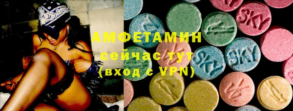 гидра Кулебаки
