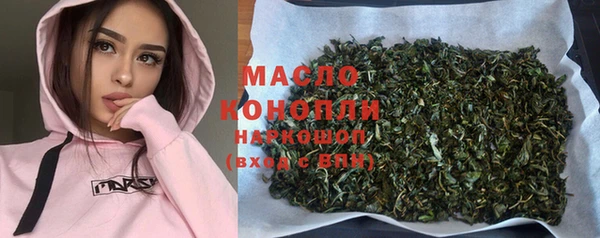 индика Куйбышев