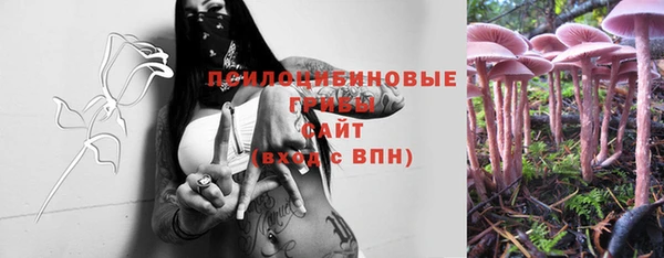 индика Куйбышев