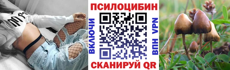 Псилоцибиновые грибы прущие грибы  kraken как войти  Екатеринбург 