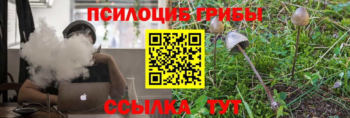 Екатеринбург  Псилоцибиновые грибы ЛСД  Вход с VPN  цены наркотик  Псилоцибиновые грибы Psilocybe 