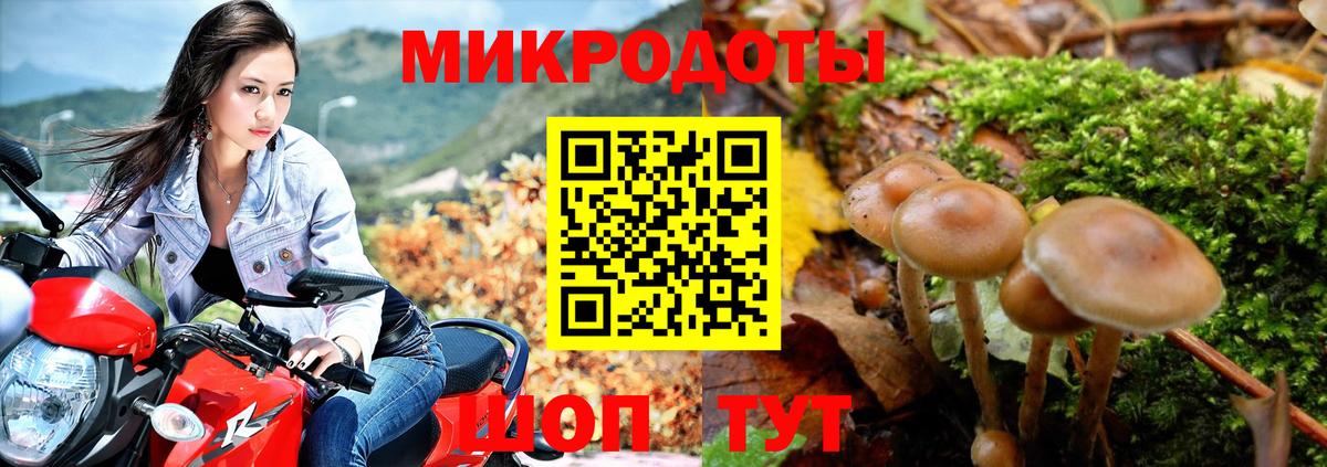 Галлюциногенные грибы Psilocybine cubensis  закладки  Екатеринбург 