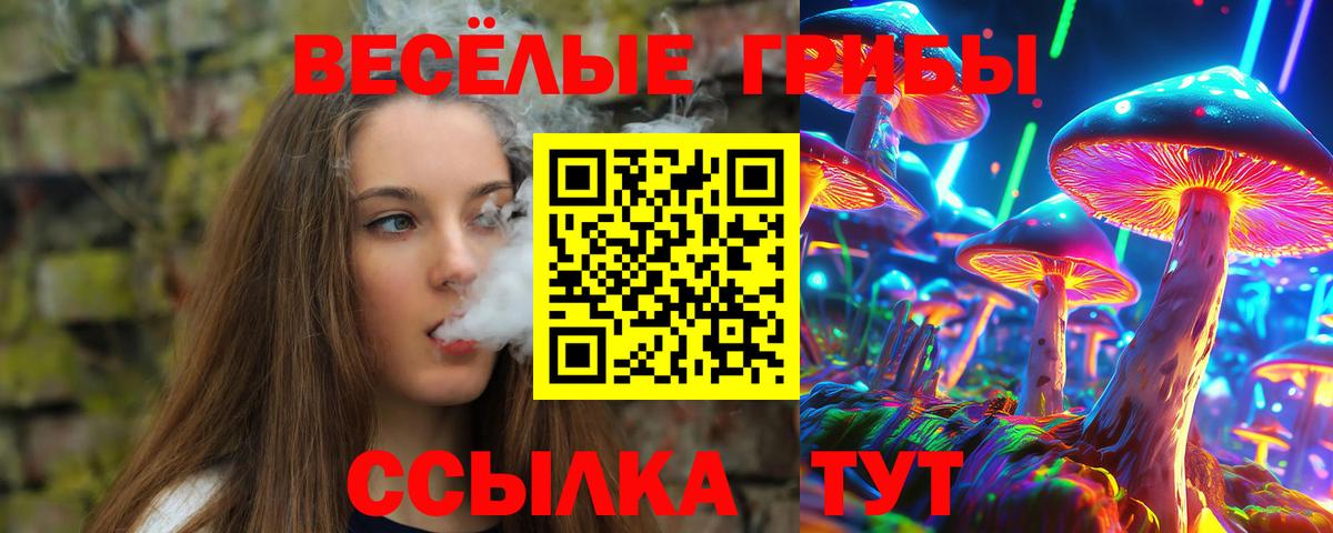 Псилоцибиновые грибы прущие грибы Екатеринбург