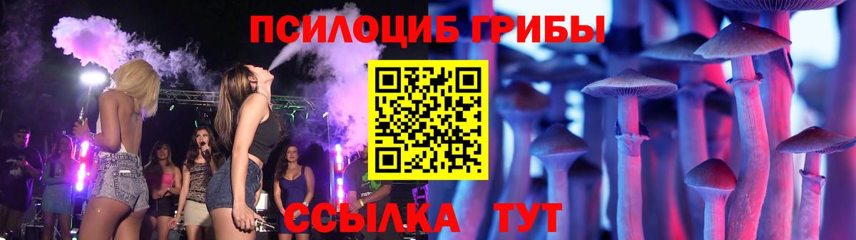 Псилоцибиновые грибы мицелий Екатеринбург